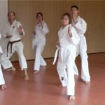 Heijan Dojo Karate in Dobel