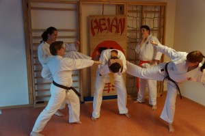 Karate - Sommer-Prüfung am 01.07.2014 