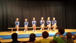 geraeteturnen-homepage