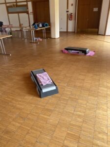 ÜL vom TSV Dobel auch in Corona ZEITEN auf Fortbildung ONLINE!